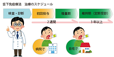 舌下免疫療法02.jpg