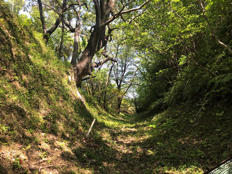 久礼田城跡の巨大な横堀 画像