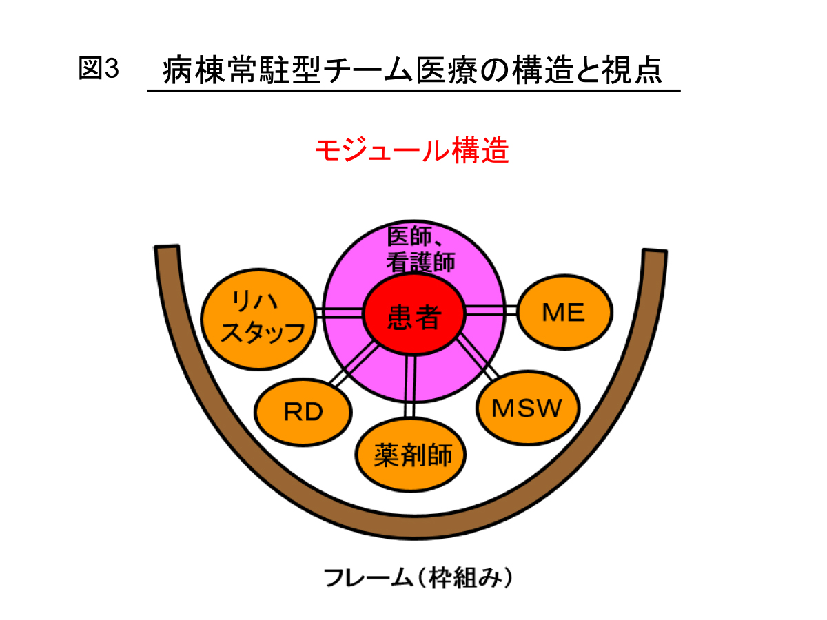 （図3）病棟常駐型チーム医療の構造と視点