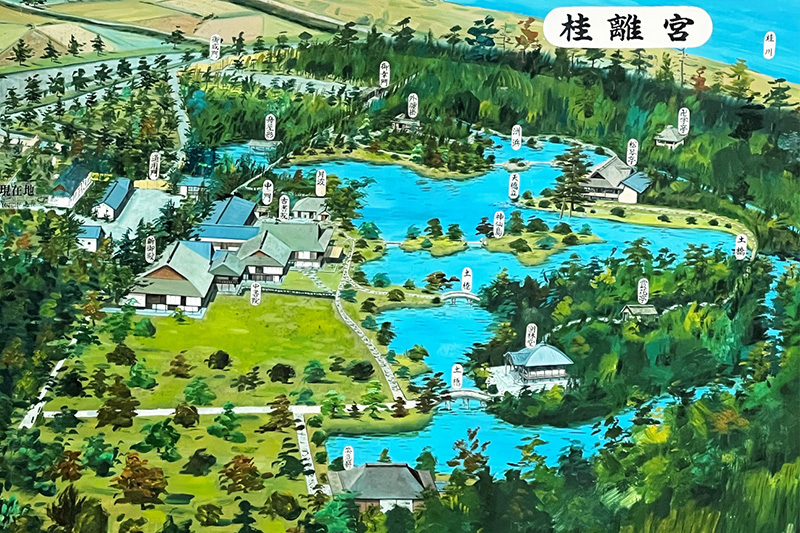 桂離宮全景